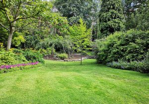 Optimiser l'expérience du jardin à Harricourt