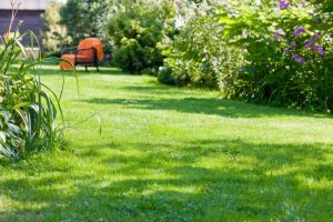 travaux jardin et paysage Harricourt